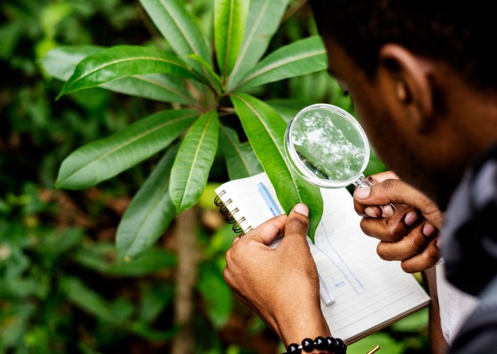 smart agriculture technology