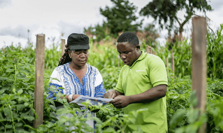 farmer using technology