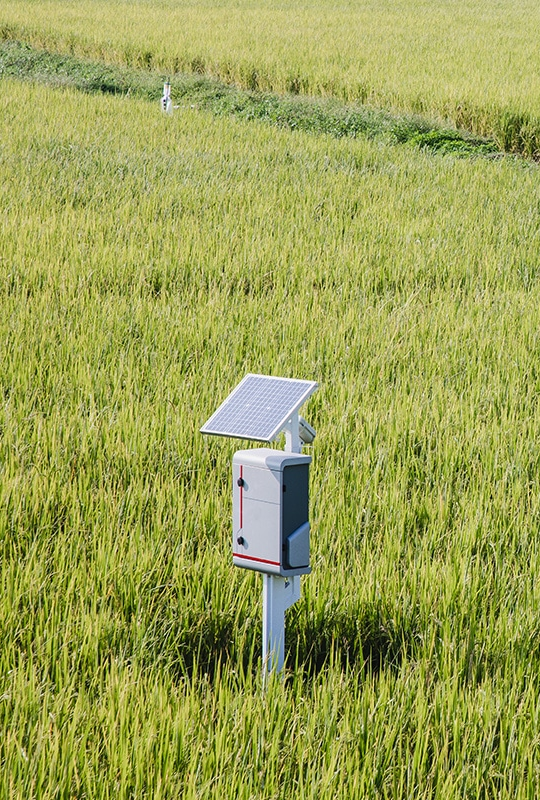 Sentra Device